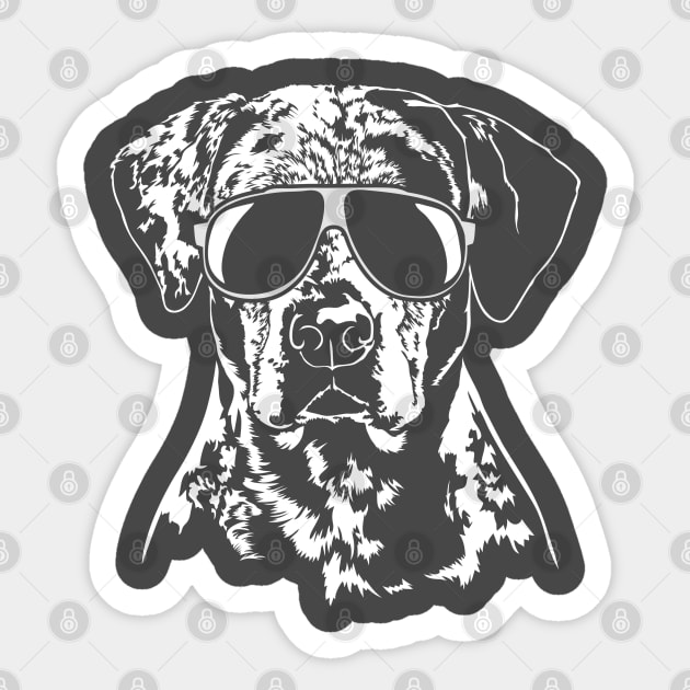 Funny Catahoula Leopard Dog with sunglasses Sticker by wilsigns